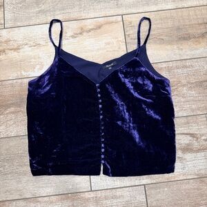 Madewell | Blue Velvet Button Down Camisole Top